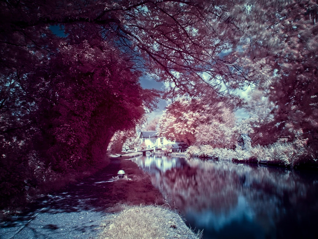 View 91c678eaf31f61042764b4666b6990e5.jpg by Ben Coyte