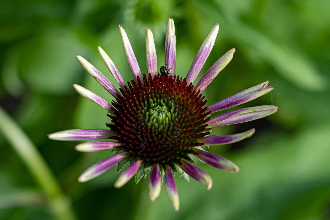 View f28c45903e4f8d199658a1f998095f7d.jpg by Toby Hagan