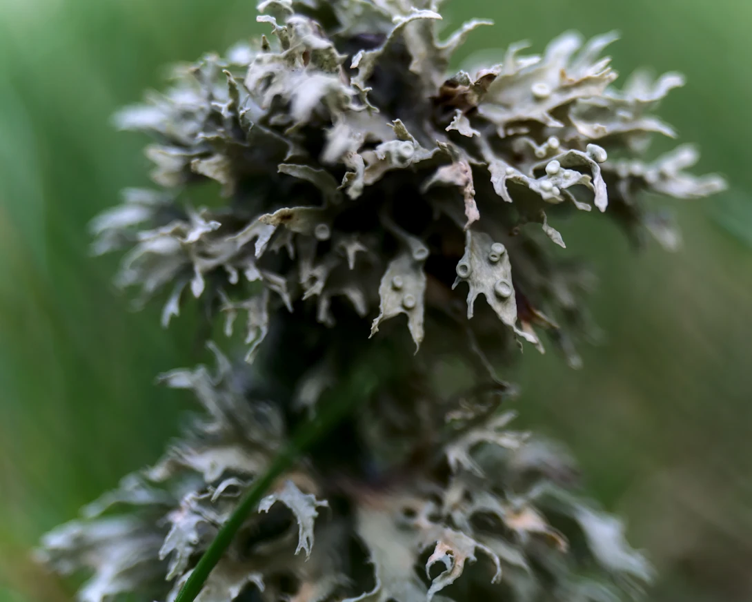View 08c81b42c71194e2b18bbae780f37406.jpg by Sz O