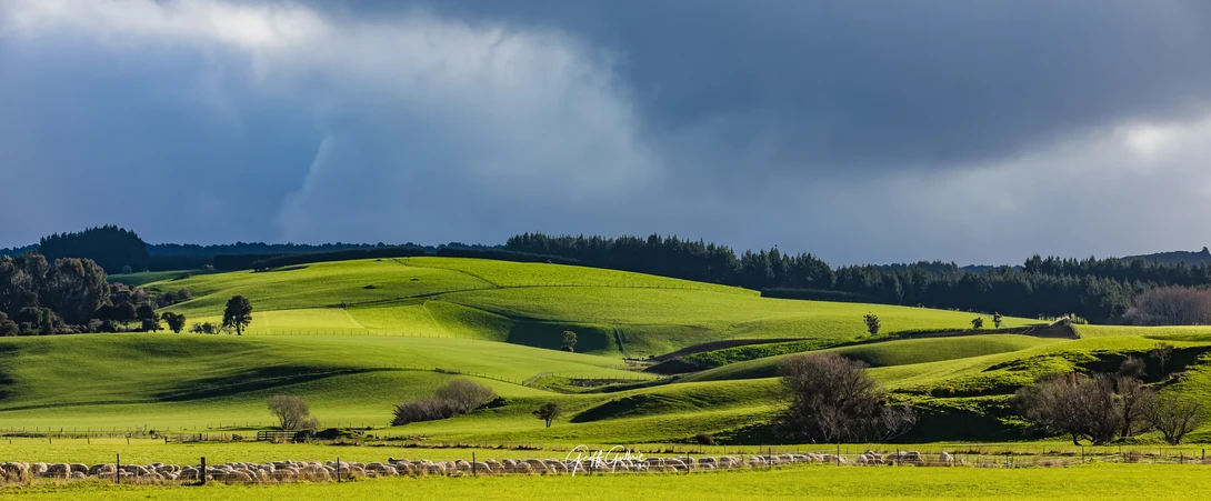 View 39c0f5390c5260f7c434fd481c1a41bf.jpg by Geoff Guthrie