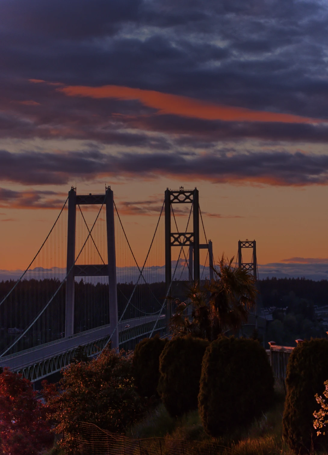View 00a58ce8c0481a0eacc0e35aed28fa05.jpg by Don L