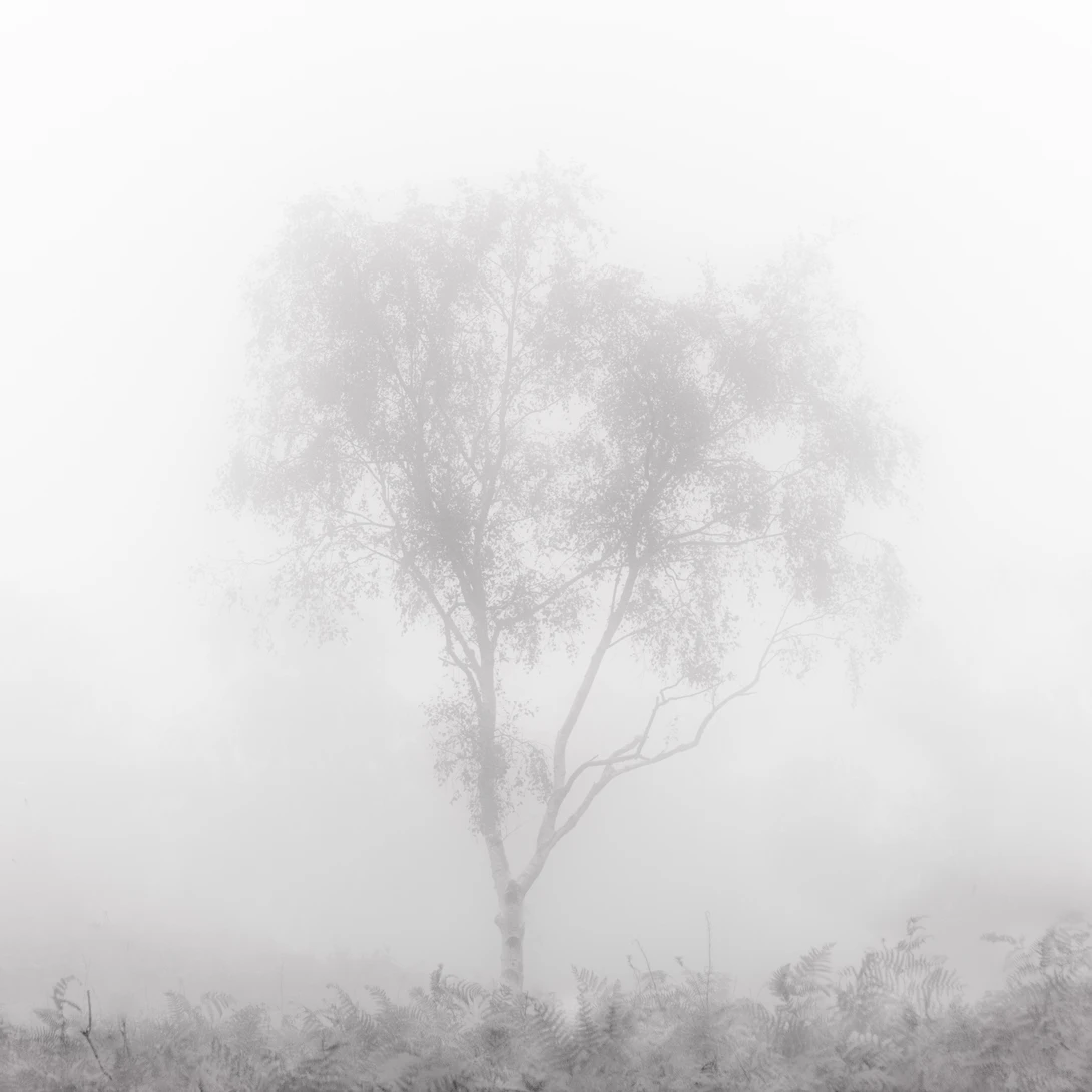 View 0225a1245ff2903a19ab561f500490ed.jpg by Ian Hayward