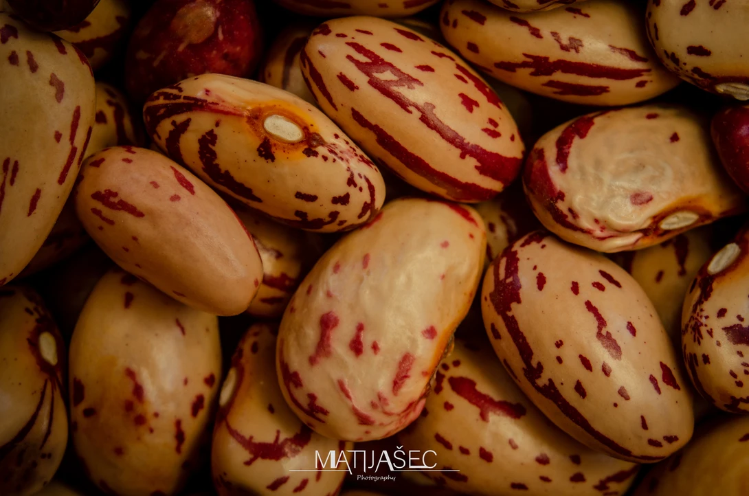 View 091e72e6483372b4192e0898e5c3664a.jpg by Boris Matijašec