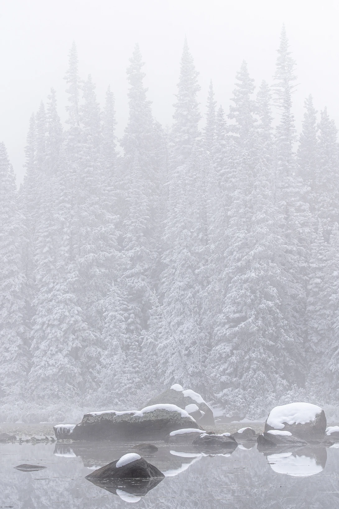 View September snow by Erkan Gunes