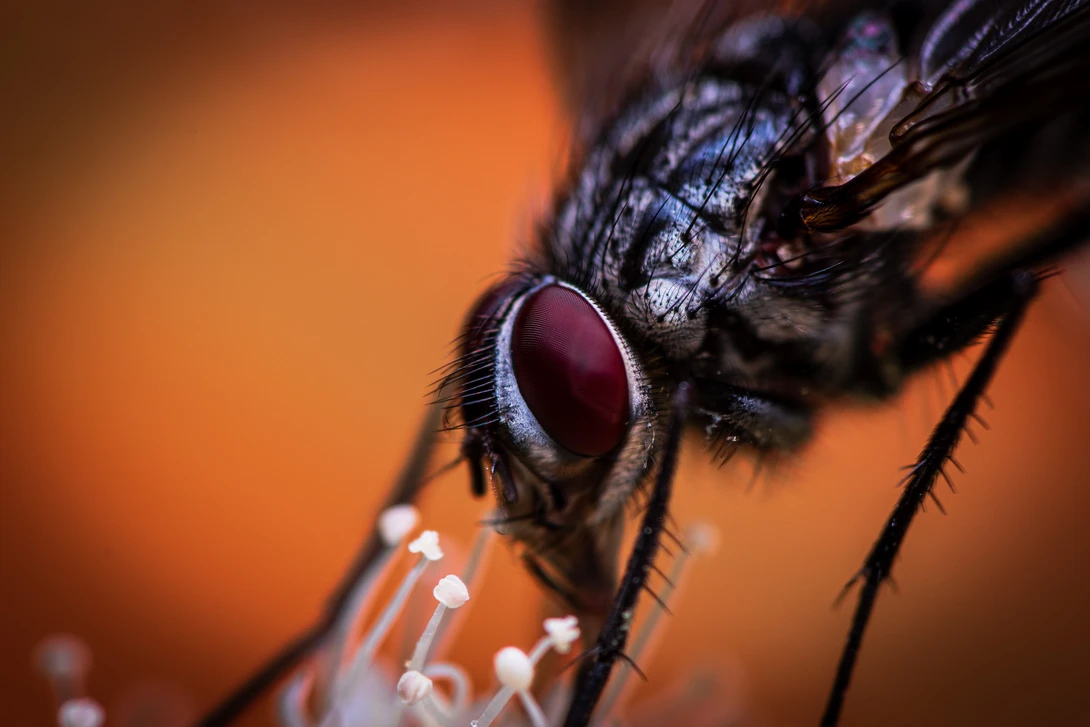 View 2df7ad3ca533f86d533e24cebb1231f4.jpg by Pascal Schindler