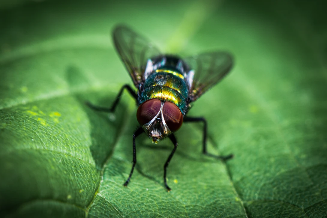 View 4031f134db4553847e1ba871251a8244.jpg by Pascal Schindler