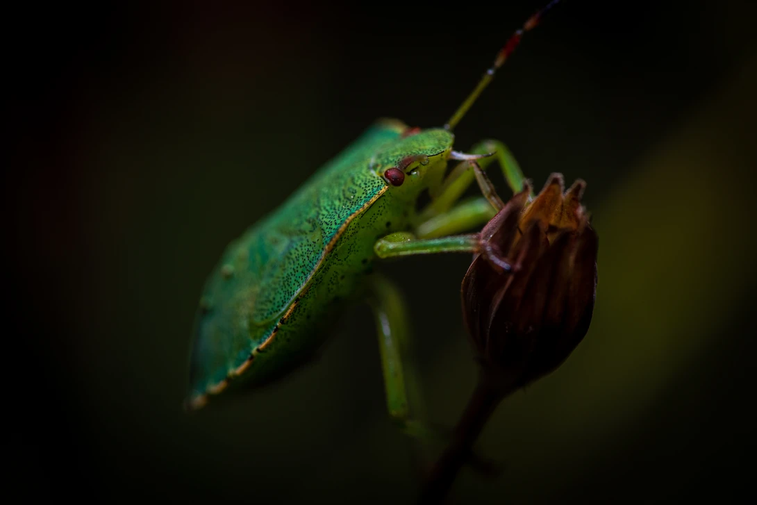 View 52b6fb3c845e64d04d64ab1a79a03a9c.jpg by Pascal Schindler