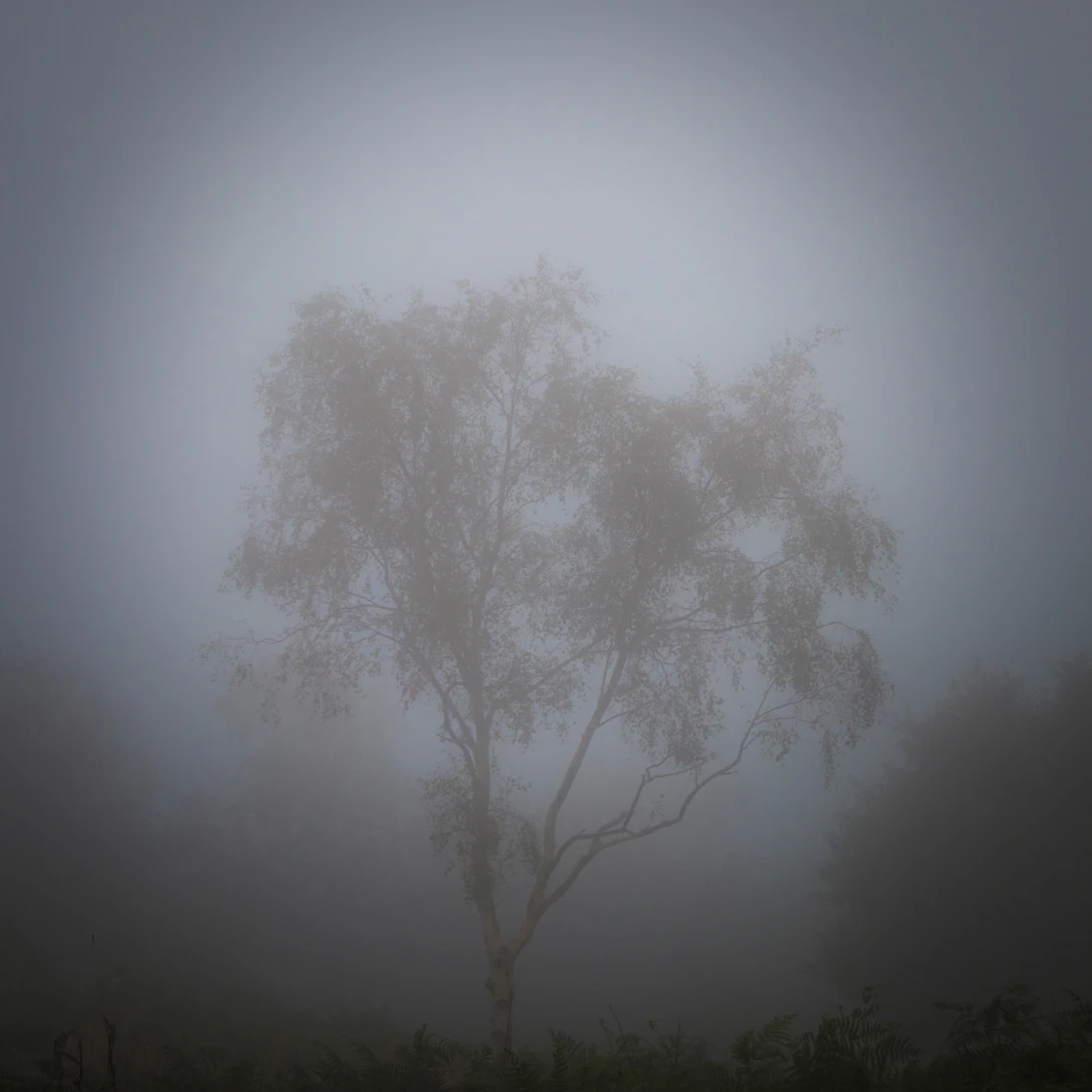 View 95b69bcae10d97ae3a0b938511de1851.jpg by Ian Hayward