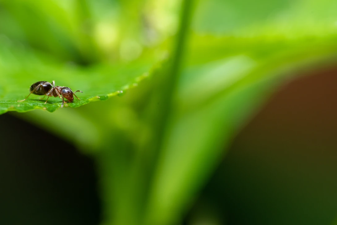 View a76a647991732c2d914dd52336baef64.jpg by Pascal Schindler