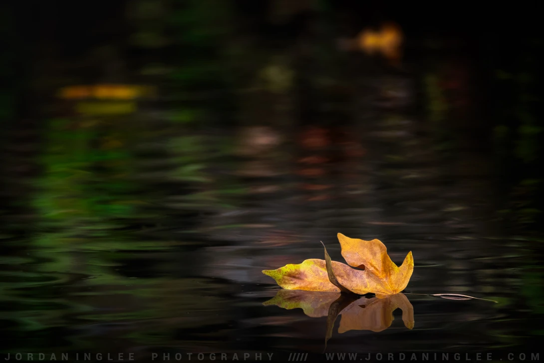 View f87cf1d6970439333c253b4faa5cf6ff.jpg by Jordan Inglee