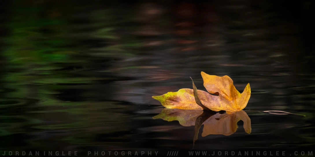 View ff4c4b93cee03cdc561e4b1e4560abcd.jpg by Jordan Inglee