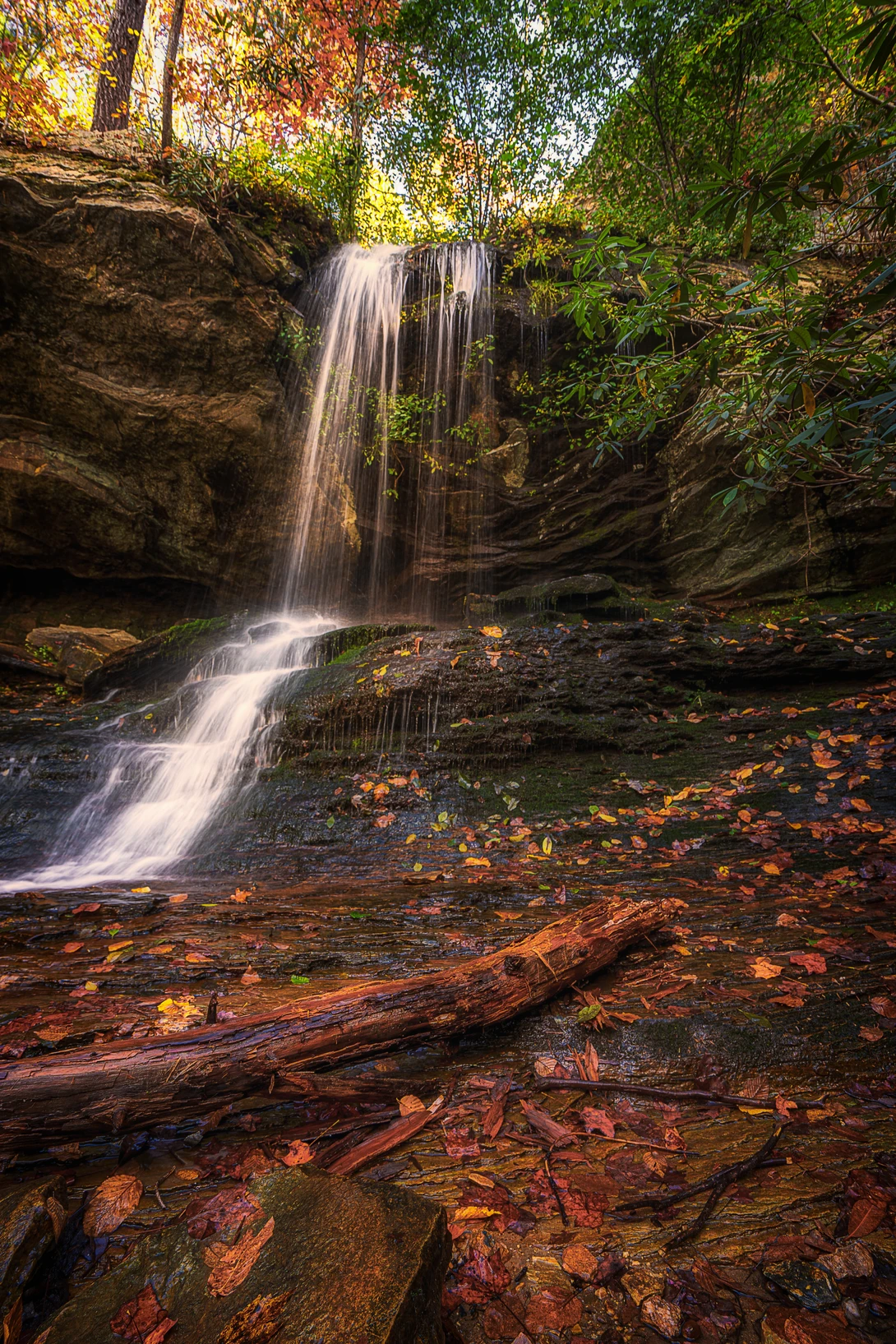 View 173419913b8e14bb309402e164ae27b4.jpg by Kyle Foreman