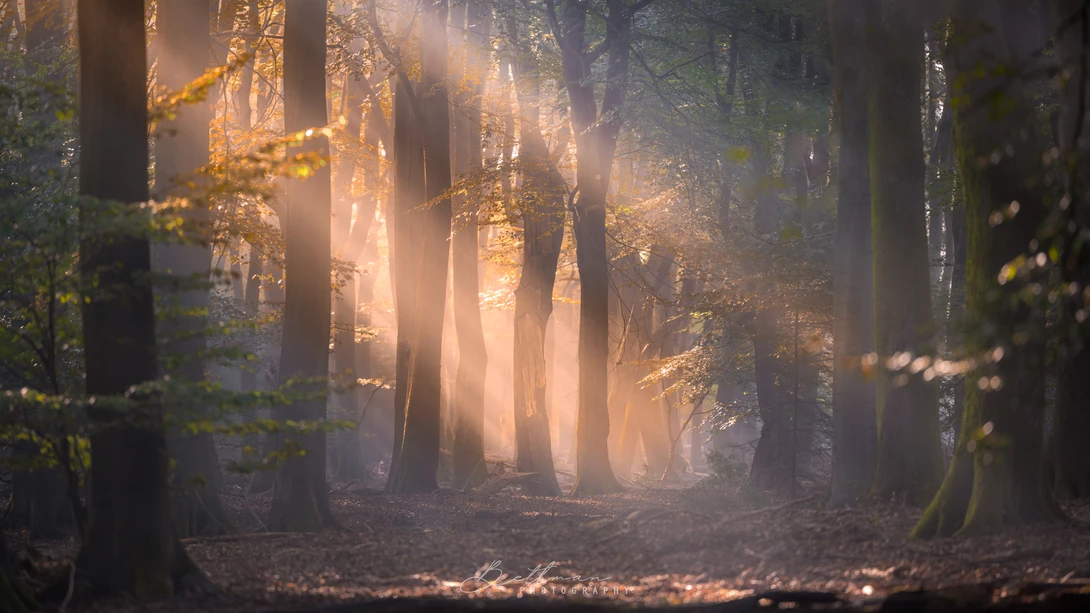 View 2bb286b773397dfad4821eac9b93ef53.jpg by Matthijs Bettman
