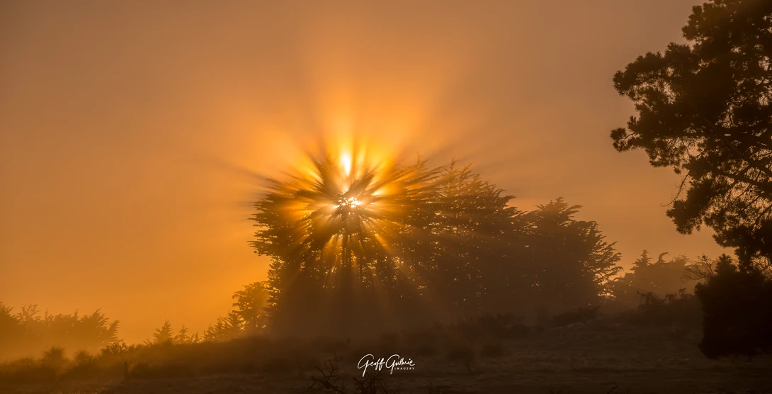View 2d9bf15ecfbfd89a95c849313f16a34c.jpg by Geoff Guthrie