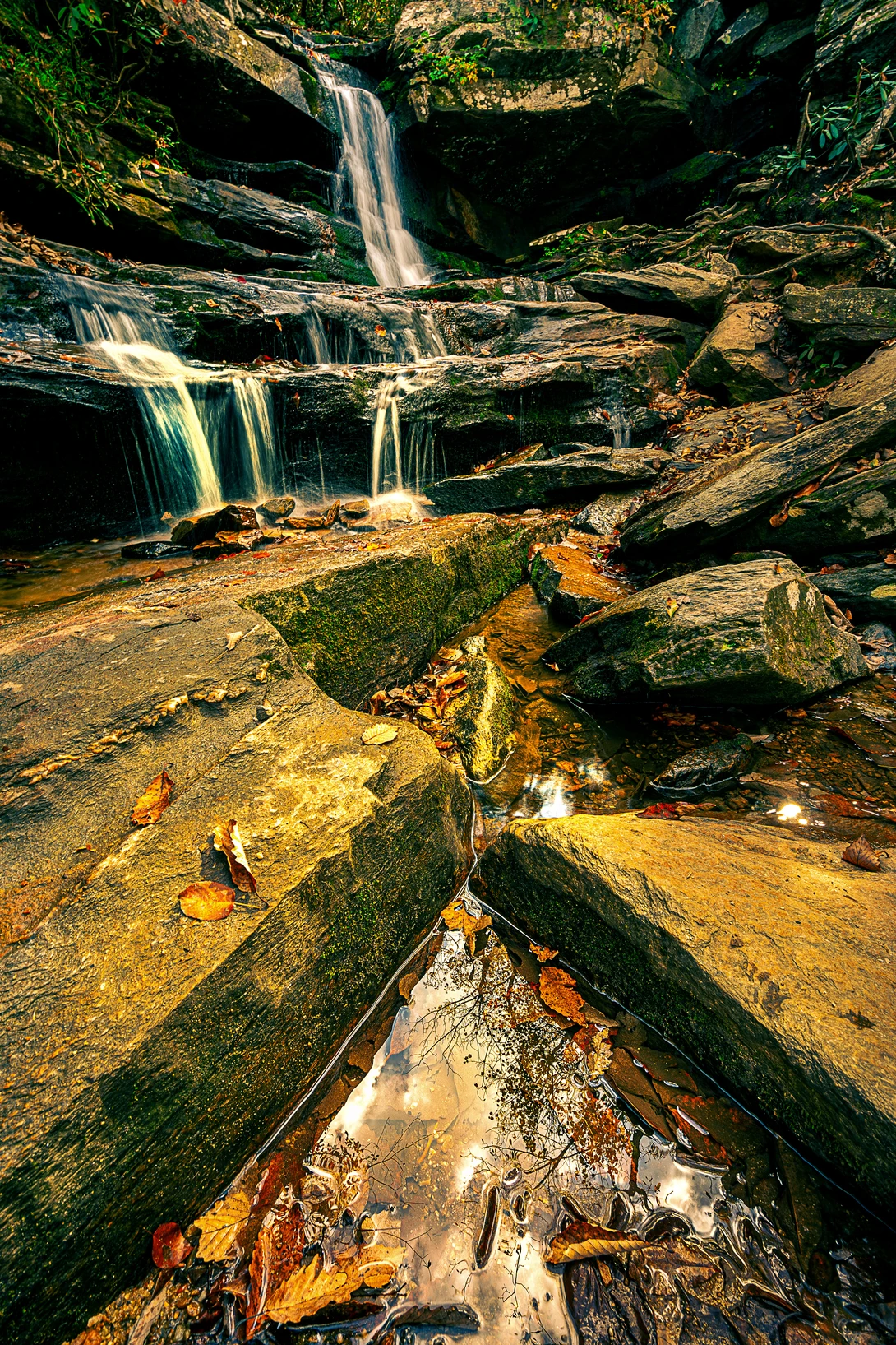 View 4ef9bf2dbbe6cd28986579f0a6543b51.jpg by Kyle Foreman