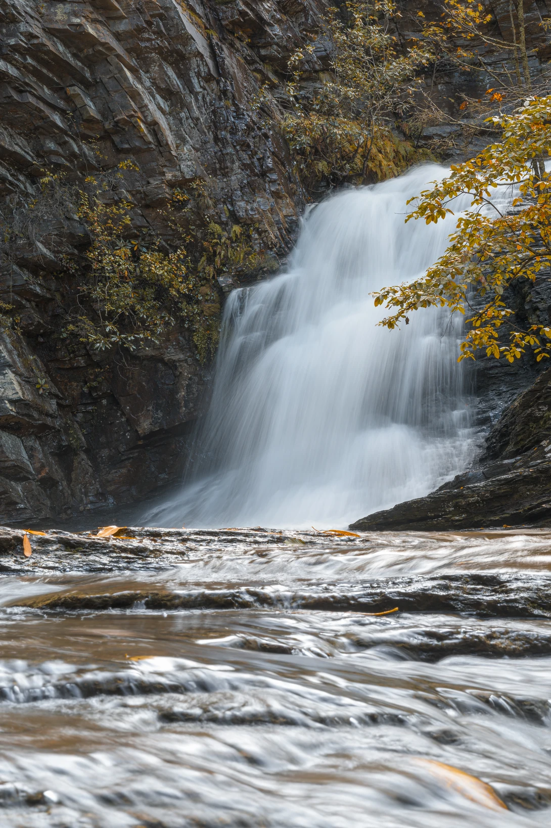 View 526358e2fce7521725060b5e7889795a.jpg by Mitchell Condom