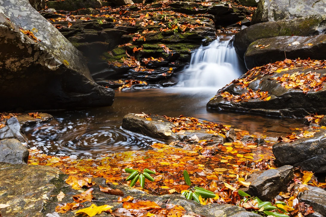View 5dd7abf6c25f2b815621241d2b0ee6a9.jpg by John Pless