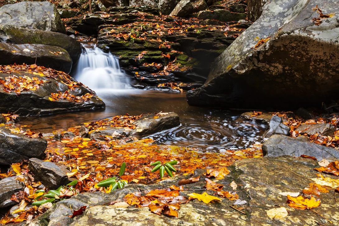 View 8ce9216acdebe277fd9cd995397aa84a.jpg by John Pless