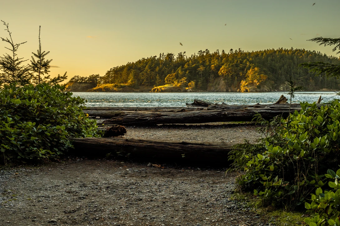 View 8dca6089980162d028c457b3c4ed006f.jpg by ashley smith
