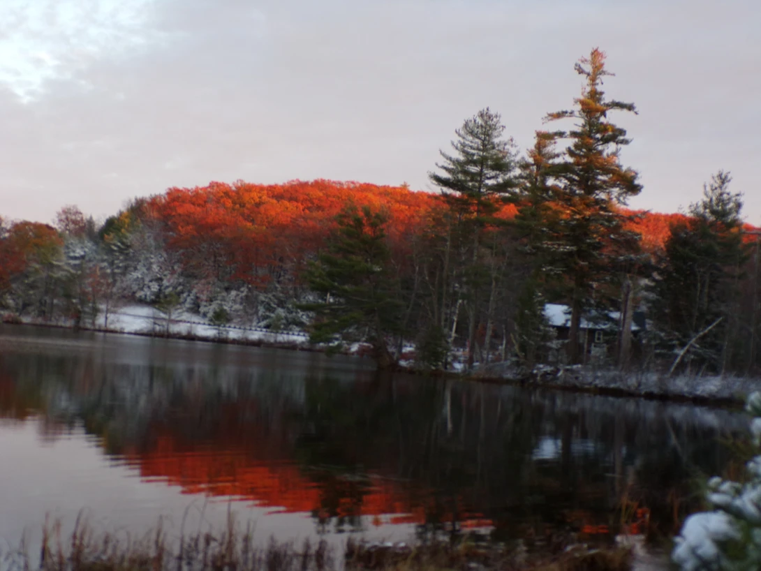View aab73781c782c5ec030898ca465eff9a.jpg by tammy higgins