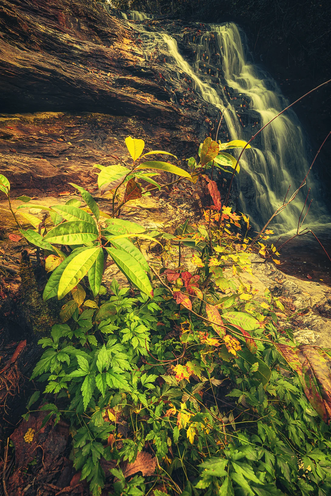 View d13d7c0882f24633e20b79198171ff9c.jpg by Kyle Foreman