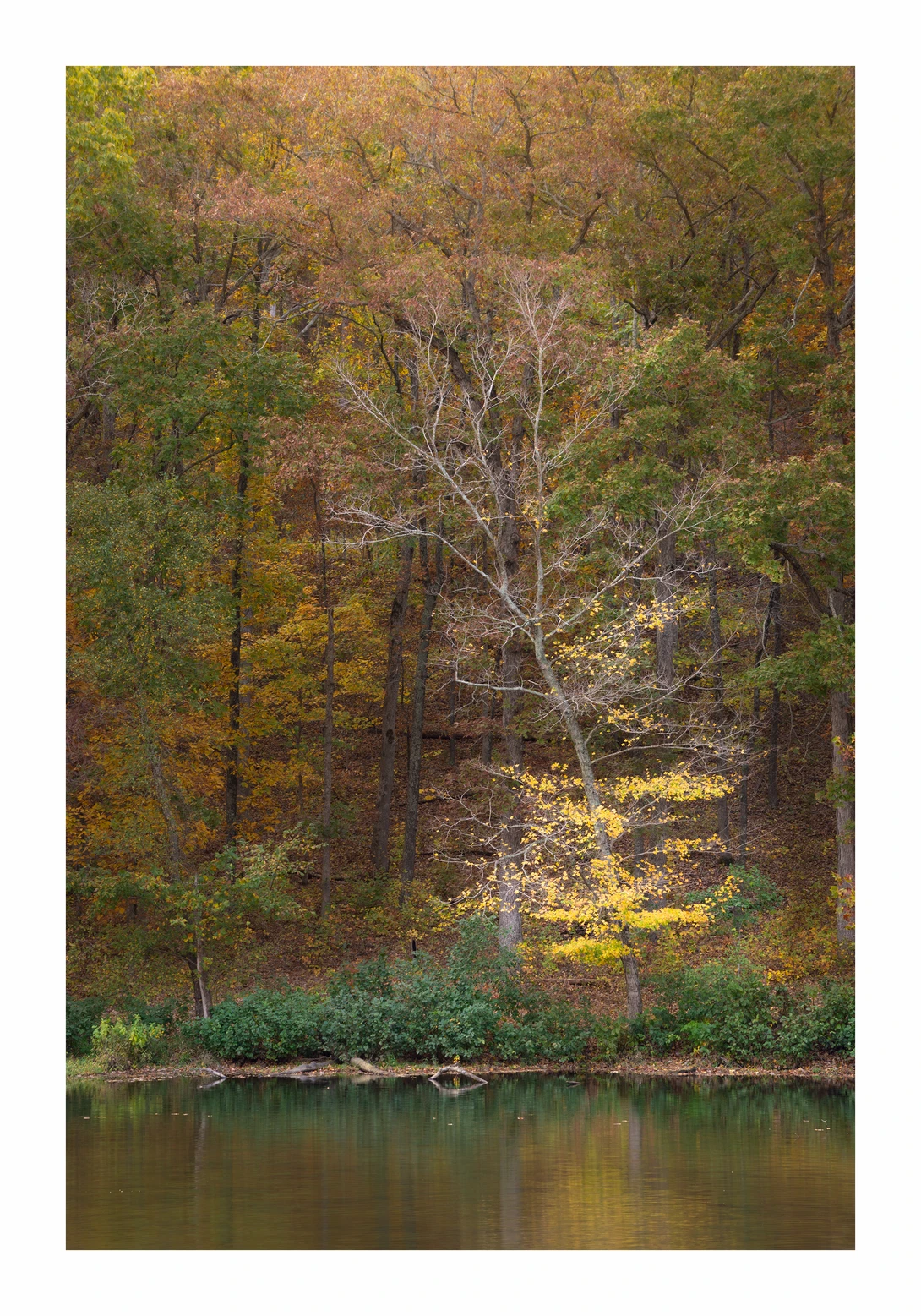 View f1a07d27e7c39a37c9a9ec6bbb6162bc.jpg by Thomas Herbst