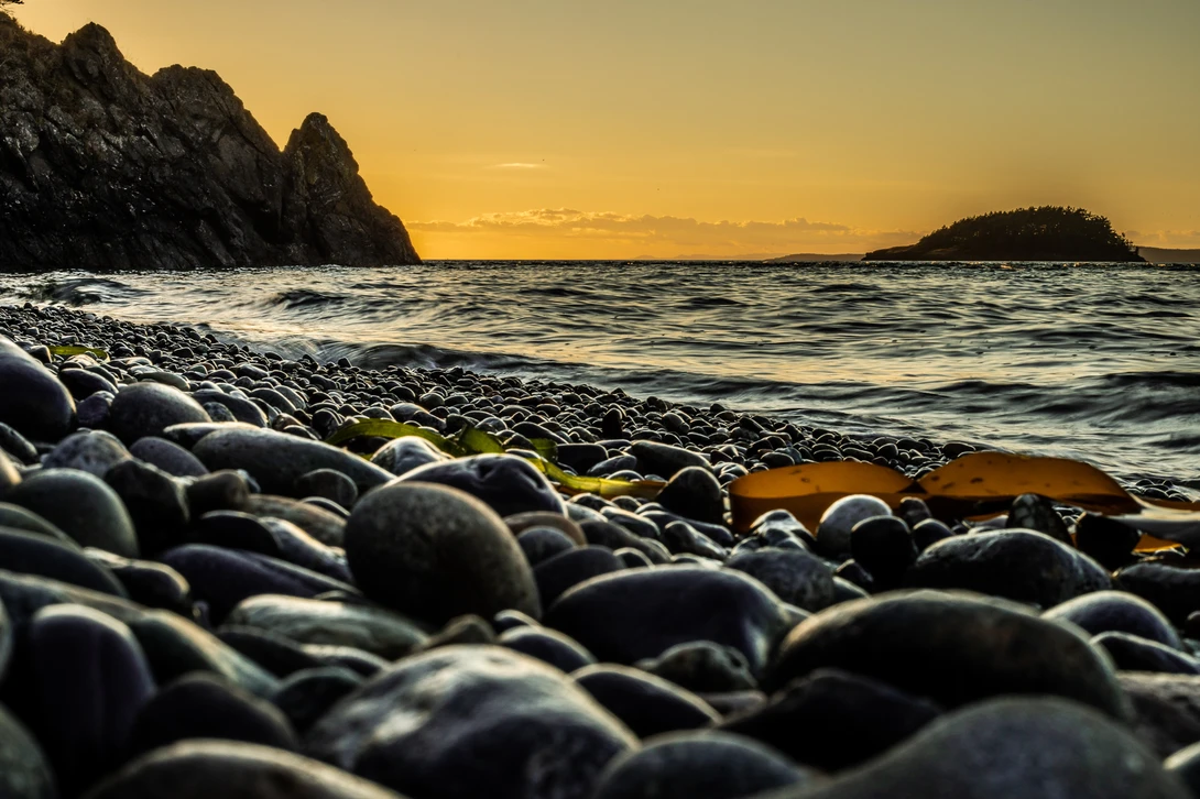 View f6fc62db08af7ebed4fb109b5343c4b6.jpg by ashley smith