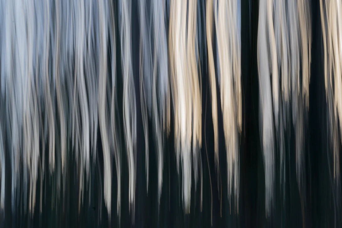 View 65e813081155bc844306a8f3de9f0cd2.jpg by Ian Hayward