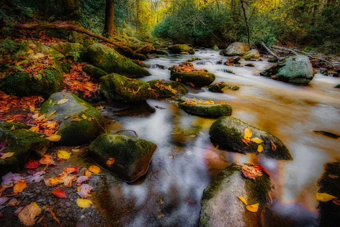 View 761725bc37972efc321053add8cde97a.jpg by Mark Guinn