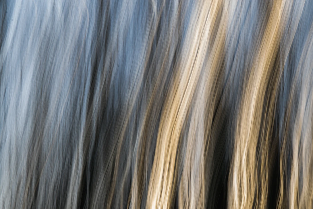 View 7d2bf4d0e8b10b6d7cdf326432f59f6c.jpg by Ian Hayward