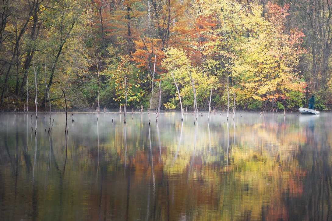 View 8f6796fb1dc2872a6523a902233a02c3.jpg by Thomas Herbst