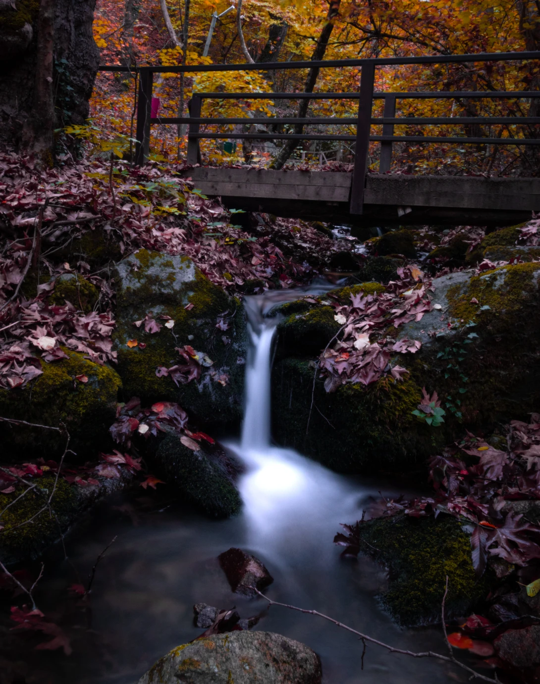 View af194f33b74cbef41996e42ebb542fb3.jpg by Muffin Lens