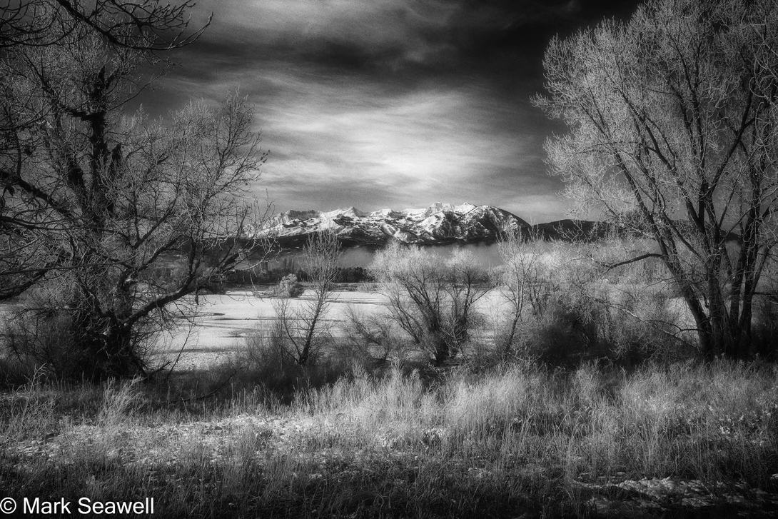 View 9cce6dc097733a781f5b09b19639d378.jpg by Mark Seawell