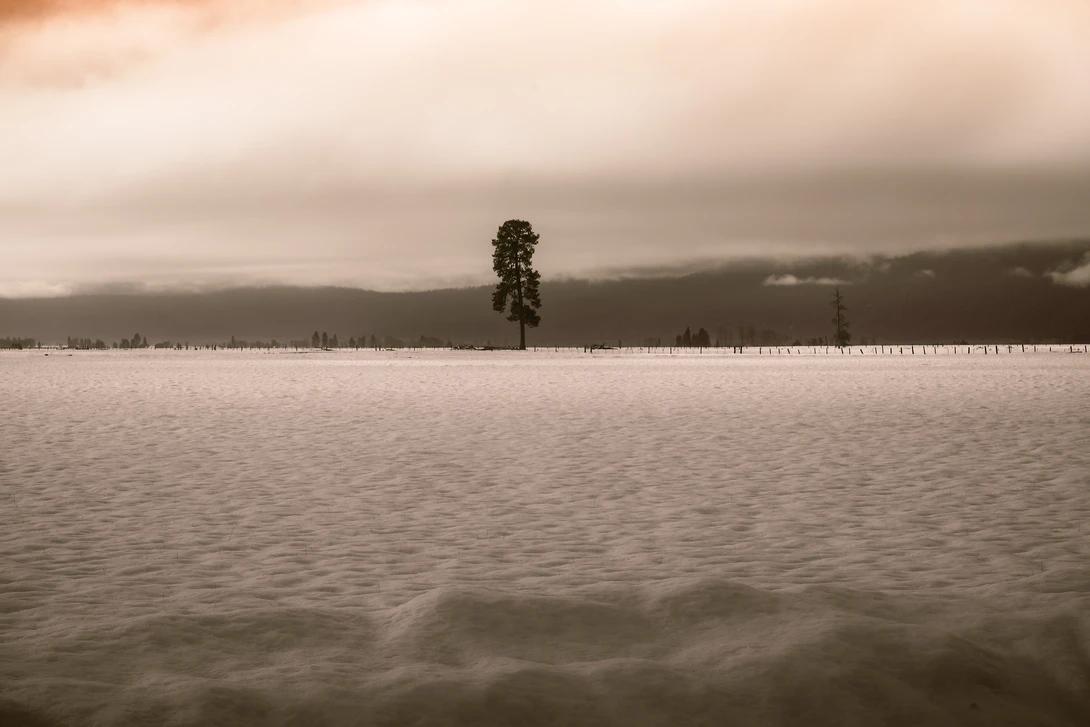 View a40ca823d7db152b62ec3e194a4a2eb7.jpg by Mark Stutzel