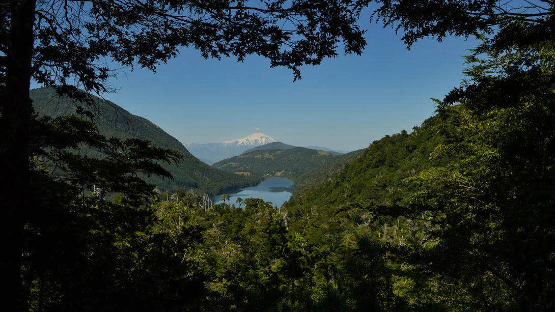 View Volcán Villarrica by Peter King