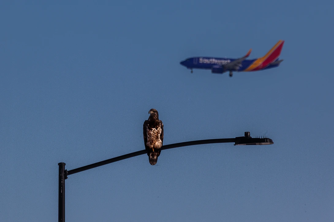 View 21c54ba985517730343b833b5726f19e.jpg by Scot Rueter