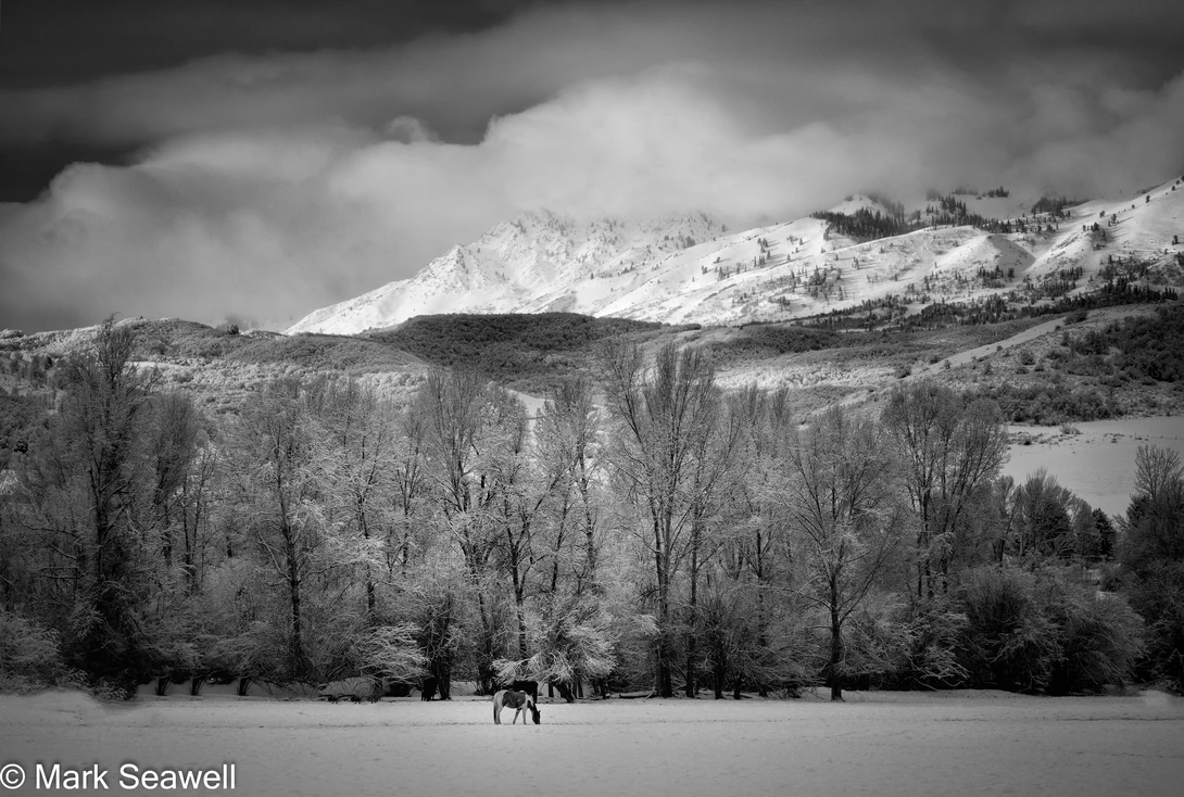 View 62bdaf6baca19a613832fdf86e0edf31.jpg by Mark Seawell