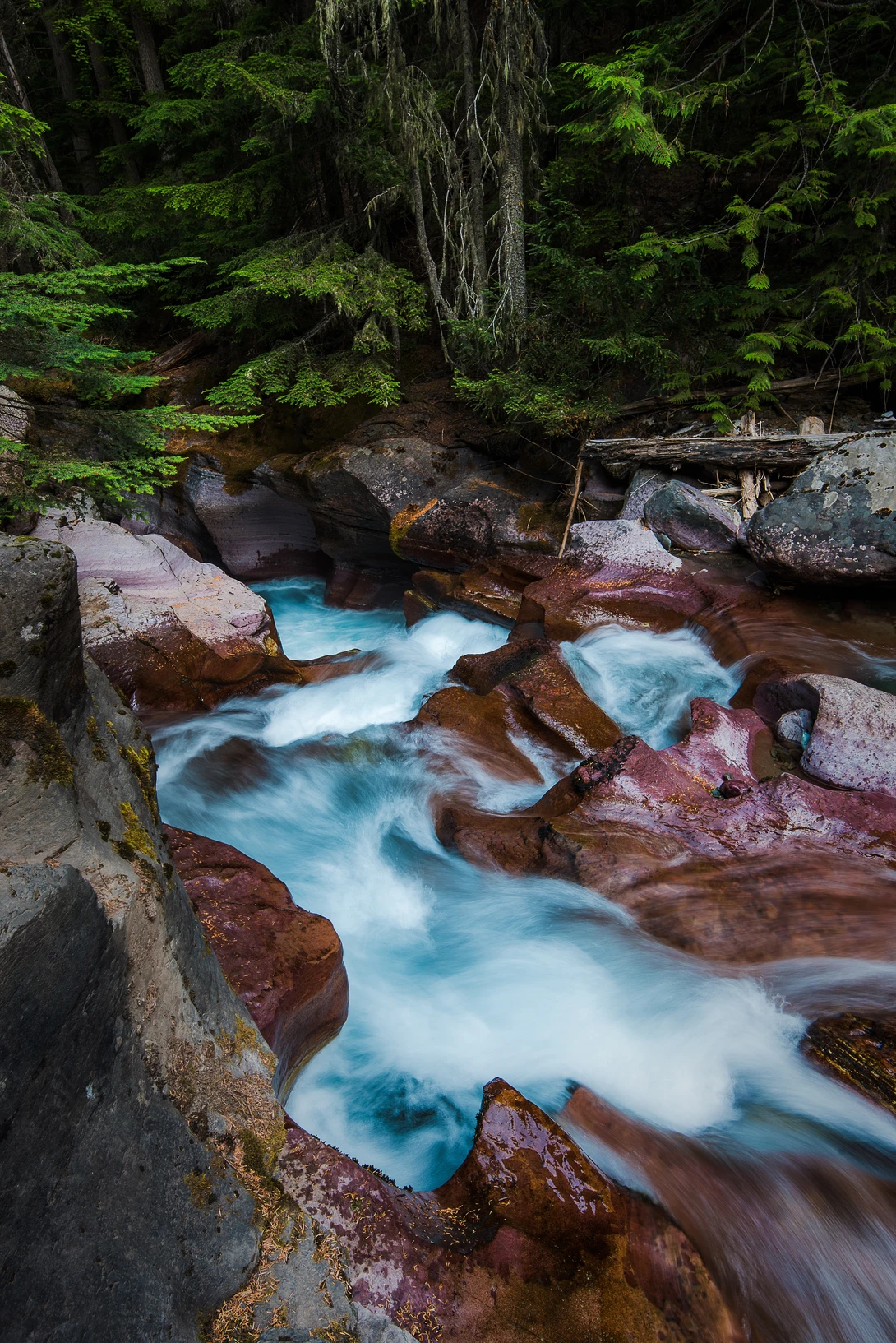 View 85d707391ccf2d038e8c4db60ec37522.jpg by Trevor Parker