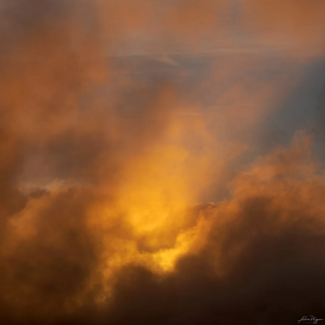 View e742654265fbea9fff4ac12fe90d77ad.jpg by Andres Puiggros