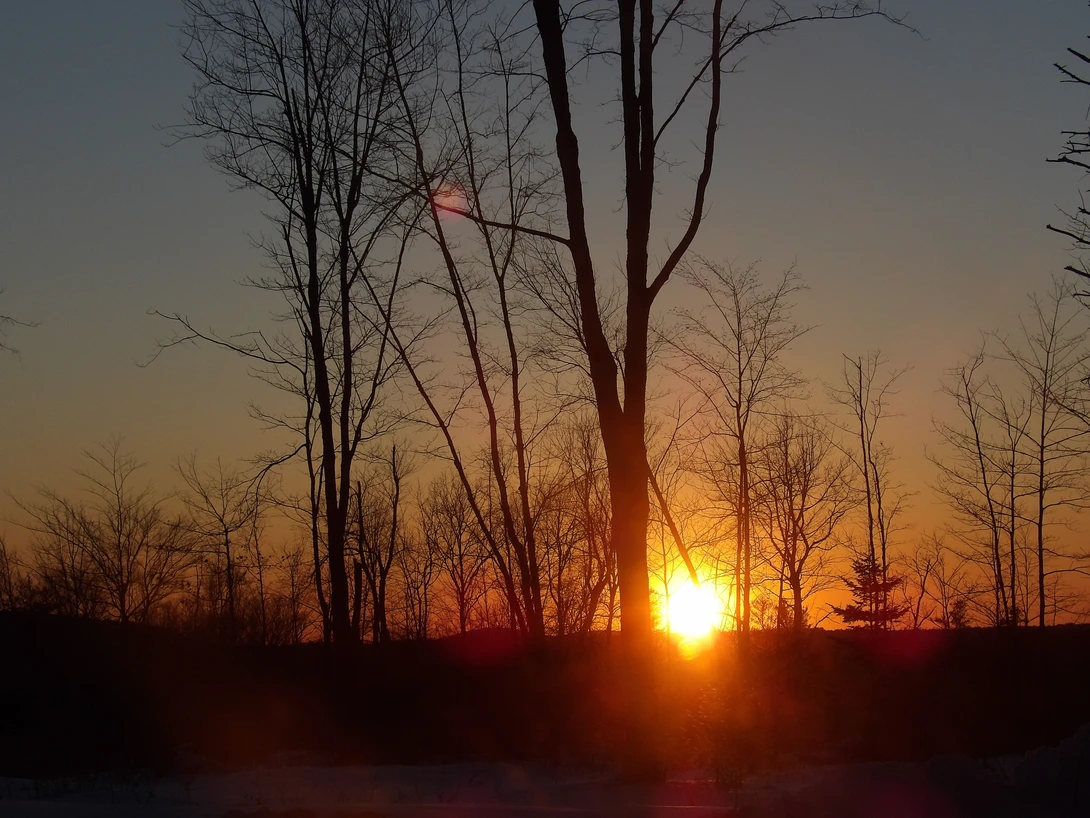 View 233c590a7e40dc03736b354f3956bad4.jpg by tammy higgins