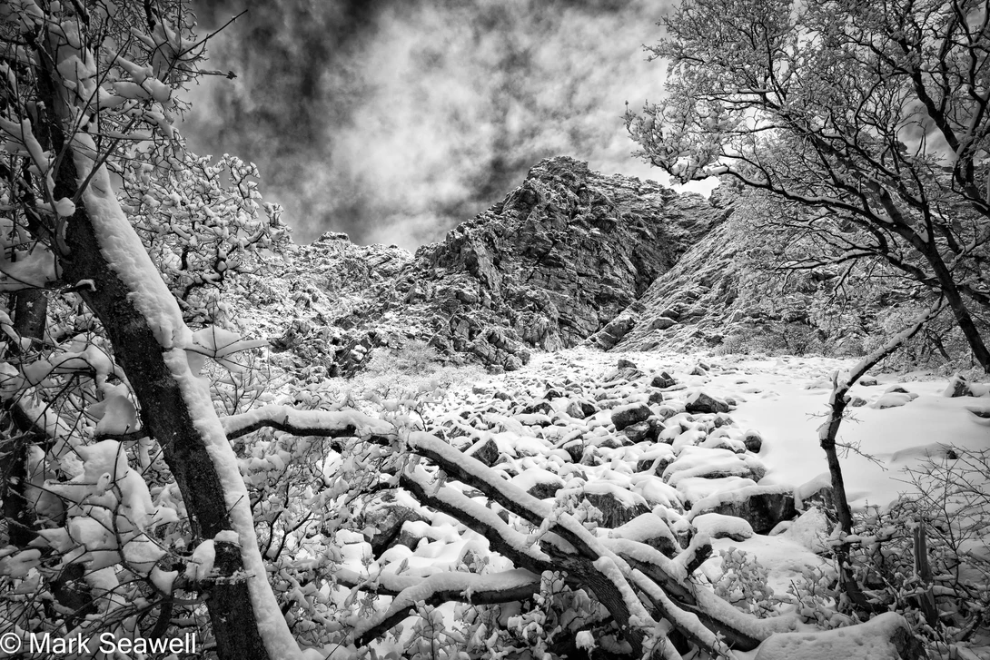 View 28bd2492fb0f36f575c743b62f3f7c81.jpg by Mark Seawell