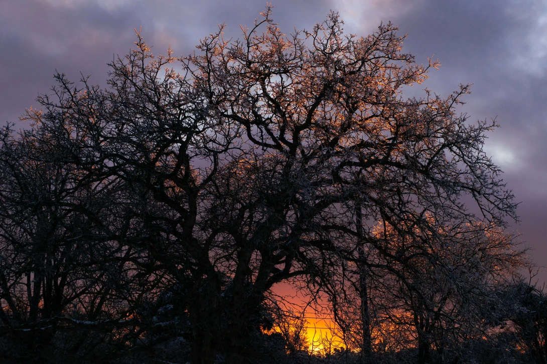 View 5f206e6c53fef357edf4635e3200354d.jpg by Nicholas Vettorel
