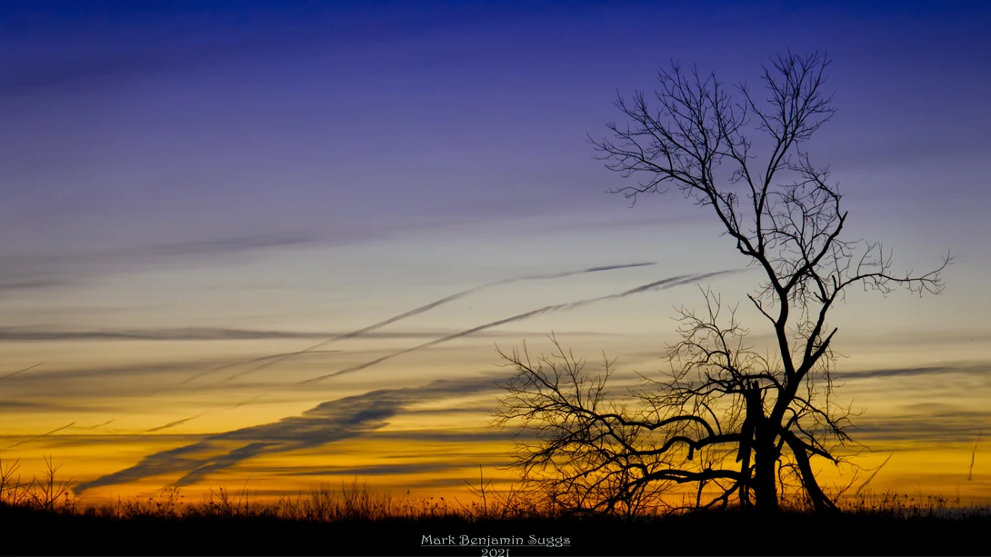 View 698cb95886c6f1a3376d0504c5e07f21.jpg by Mark Suggs