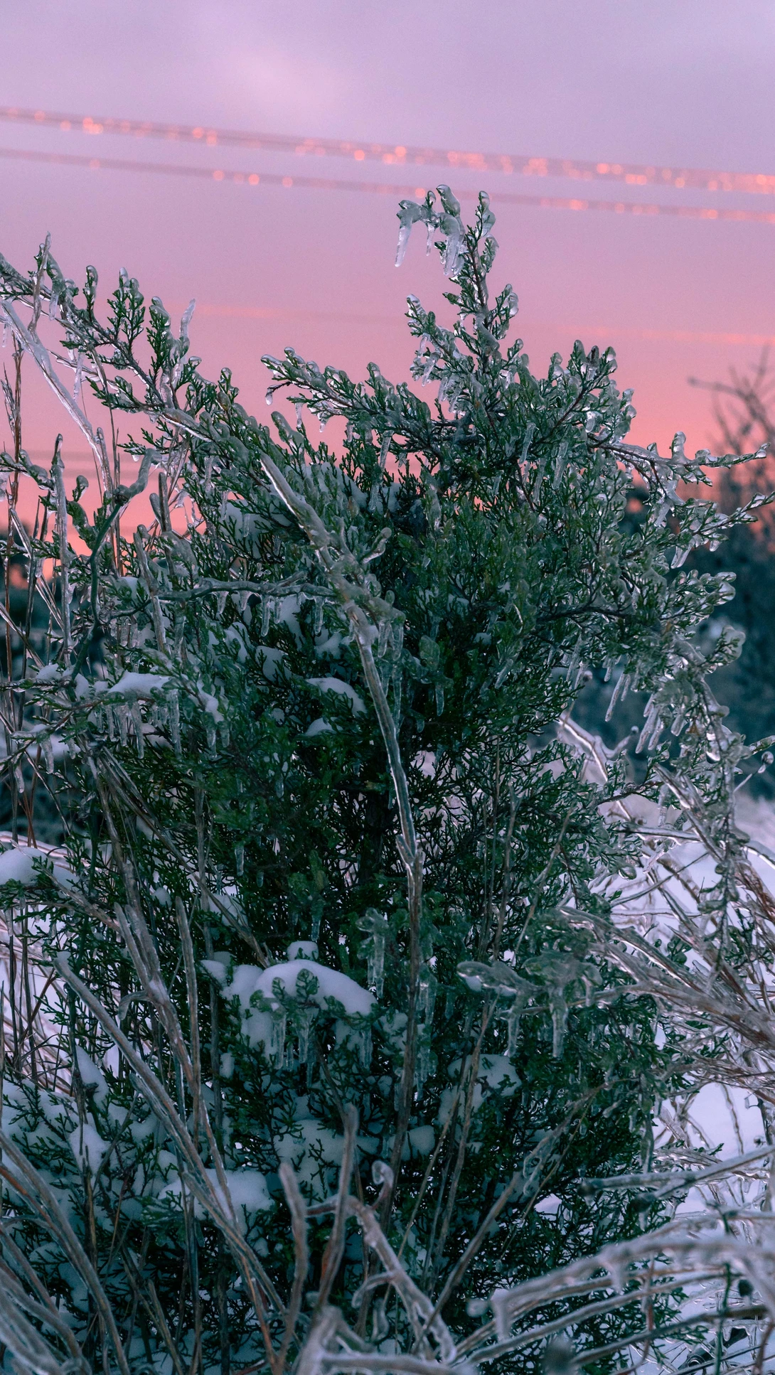 View 73261e02d1ff0977f352e84bcfc76cd0.jpg by Nicholas Vettorel