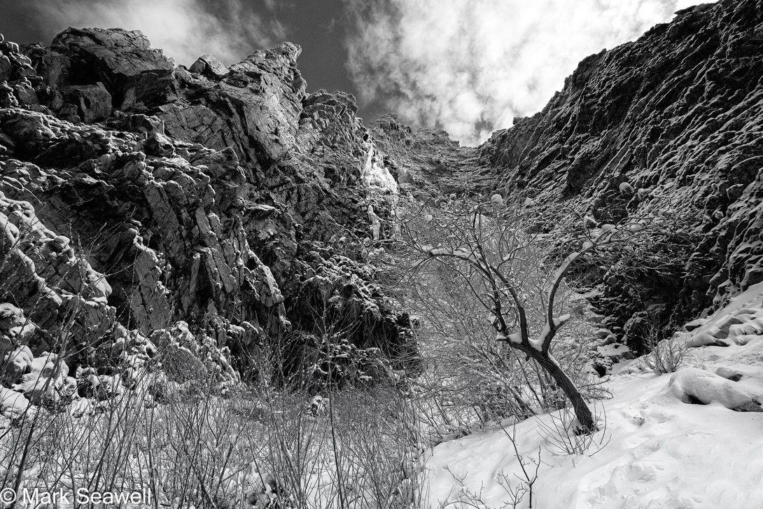 View 78cf759c18dfbf5c0a4e94d122d91d21.jpg by Mark Seawell