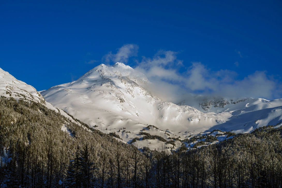 View 811199d754ea31e0373f9f98a7ee09ea.jpg by TYLER YATES