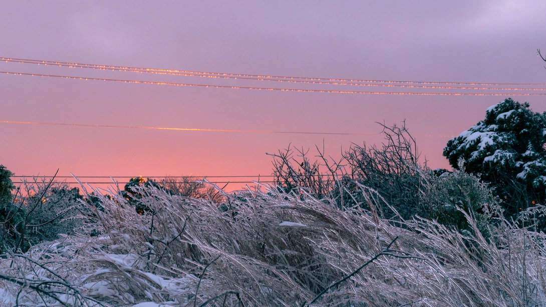 View 91f018e988ab57d29870f5ea56931b09.jpg by Nicholas Vettorel
