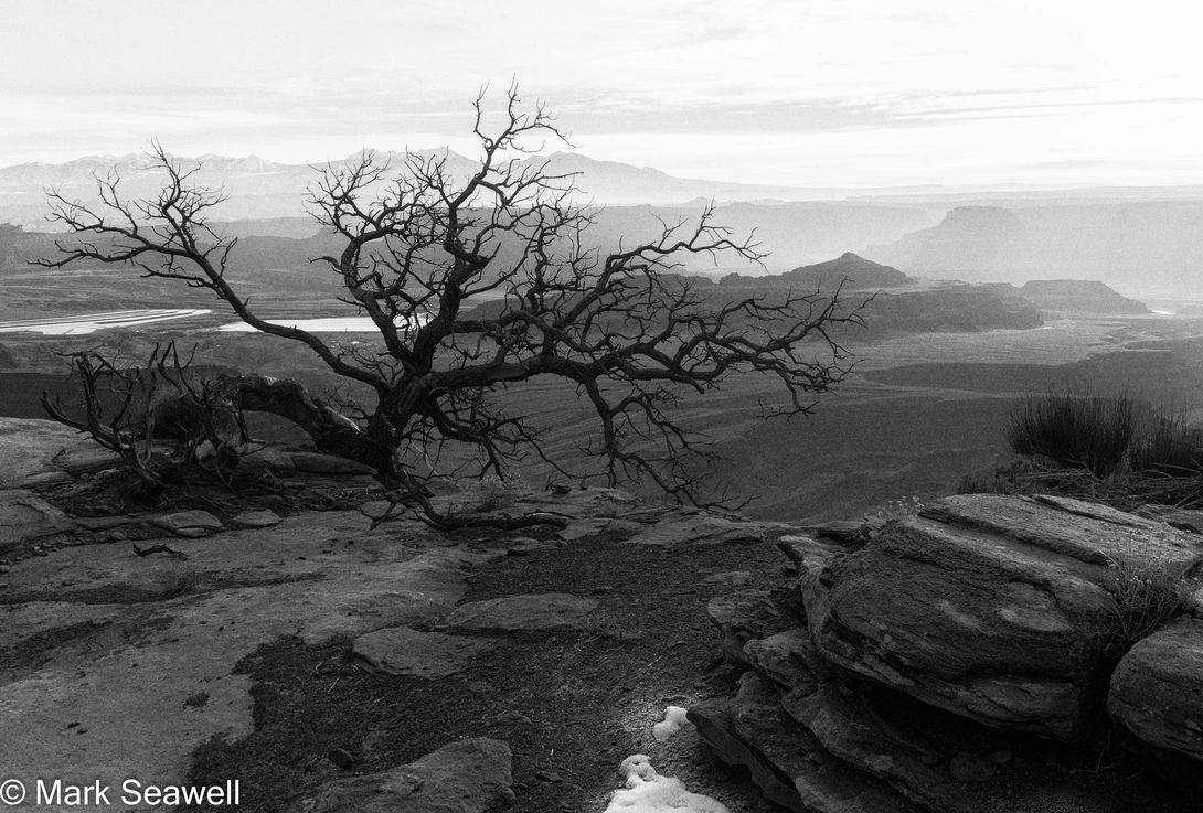 View f77f856c4b16c4d448778f8c77dcba73.jpg by Mark Seawell