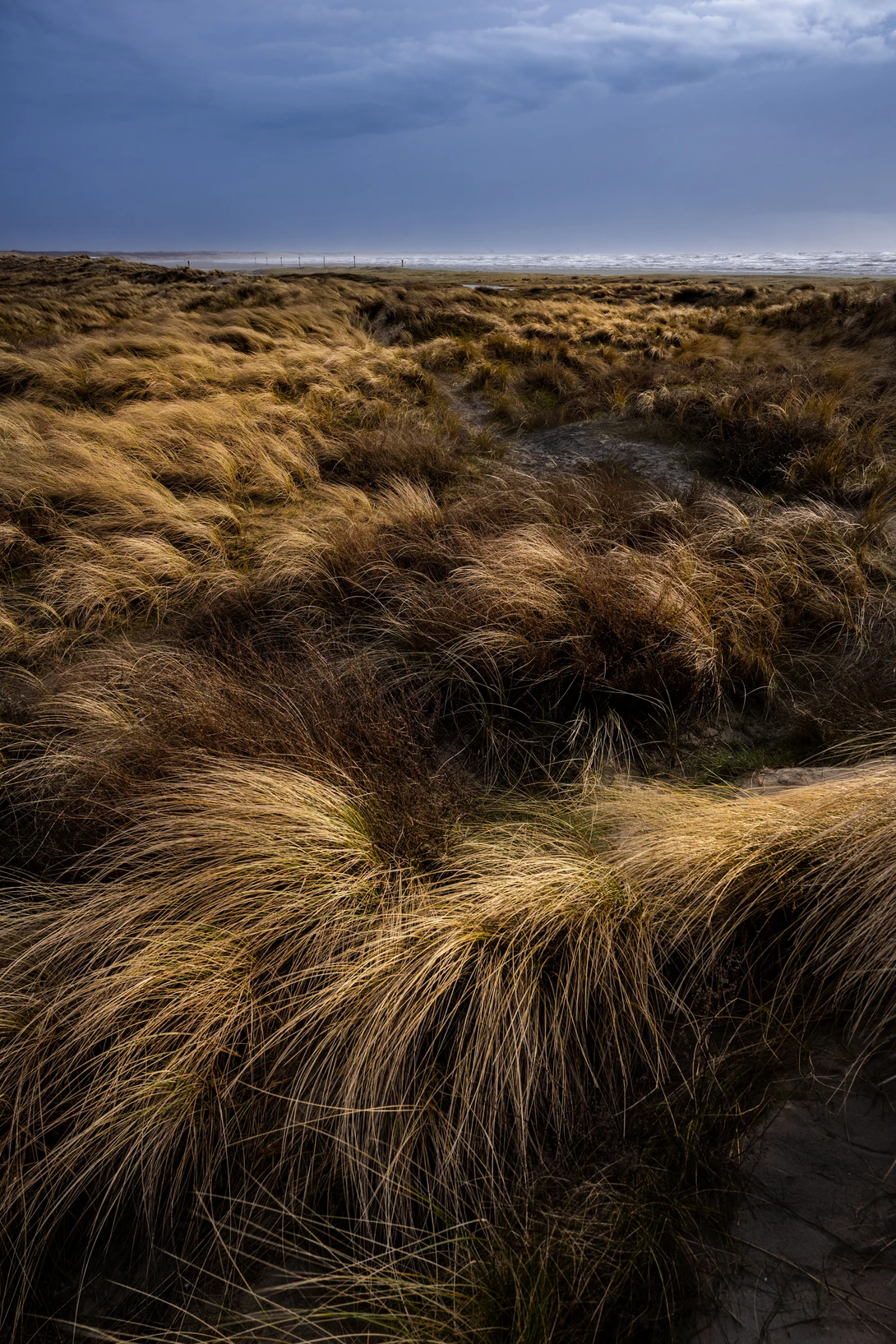 View 06c85a7a6569463ed619c22707771d40.jpg by Matthijs Bettman