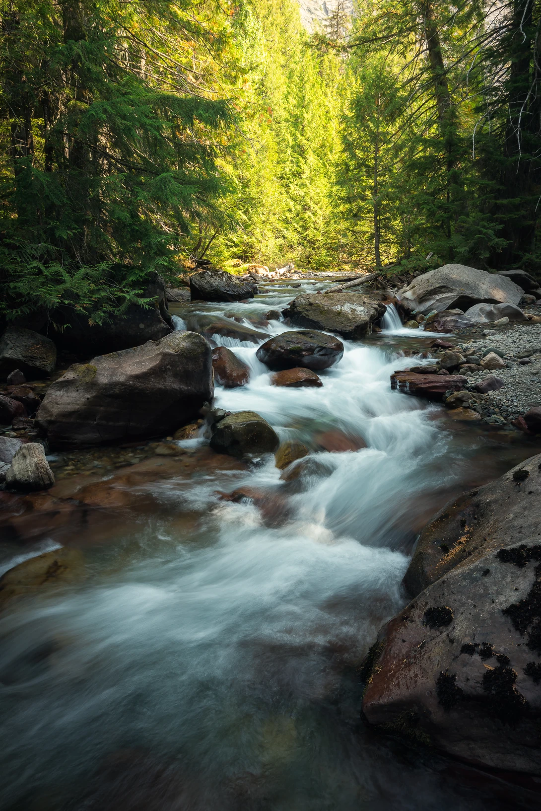 View Creek in the Forest by Trevor Parker